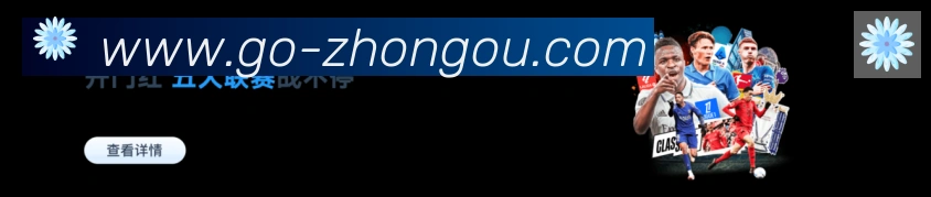 平台使命图